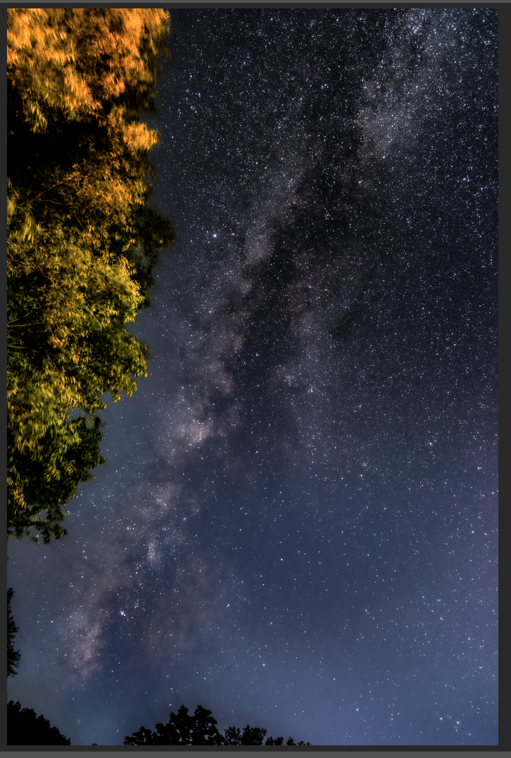A vertical photograph showing the Milky Way galaxy arching over a line of trees against a dark night sky.